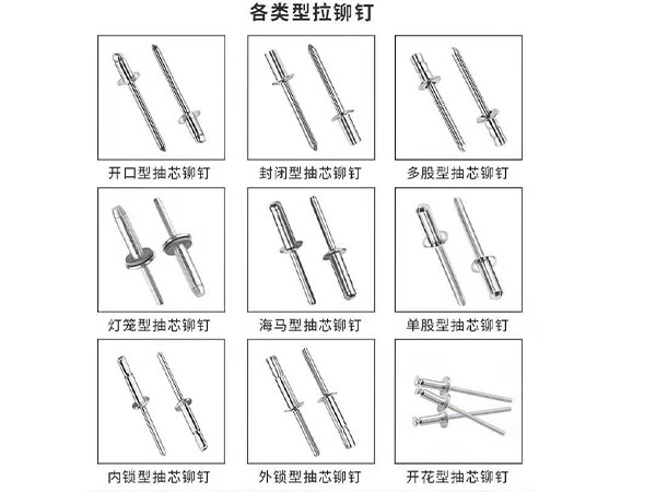各种类型的铆钉.jpg